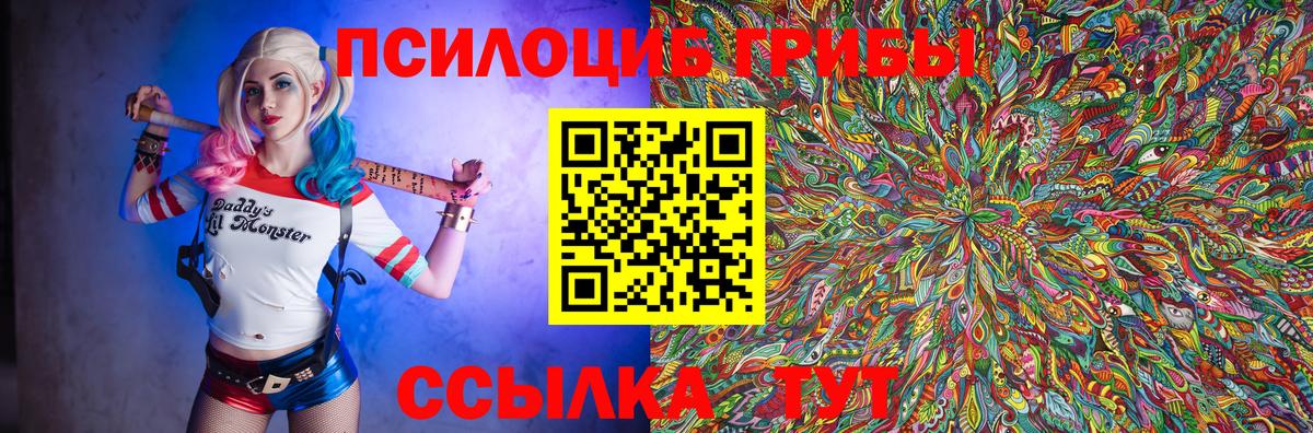 Галлюциногенные грибы GOLDEN TEACHER Всеволожск