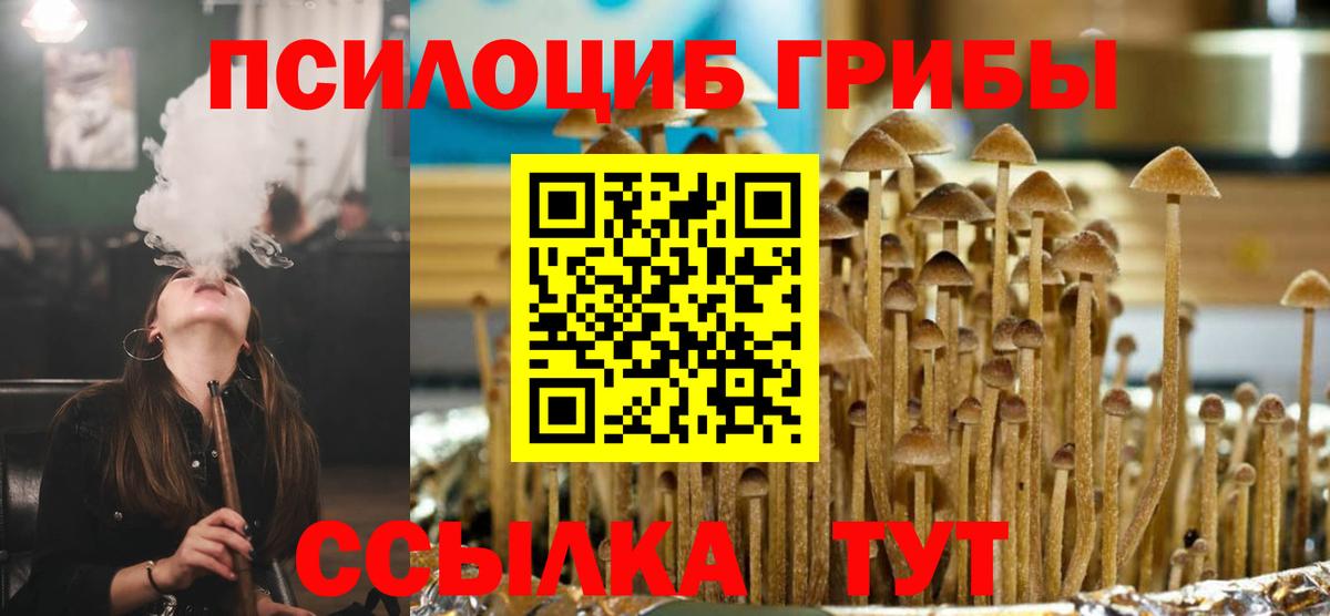Галлюциногенные грибы Cubensis  Псилоцибиновые грибы ЛСД  Всеволожск  Вход с VPN 